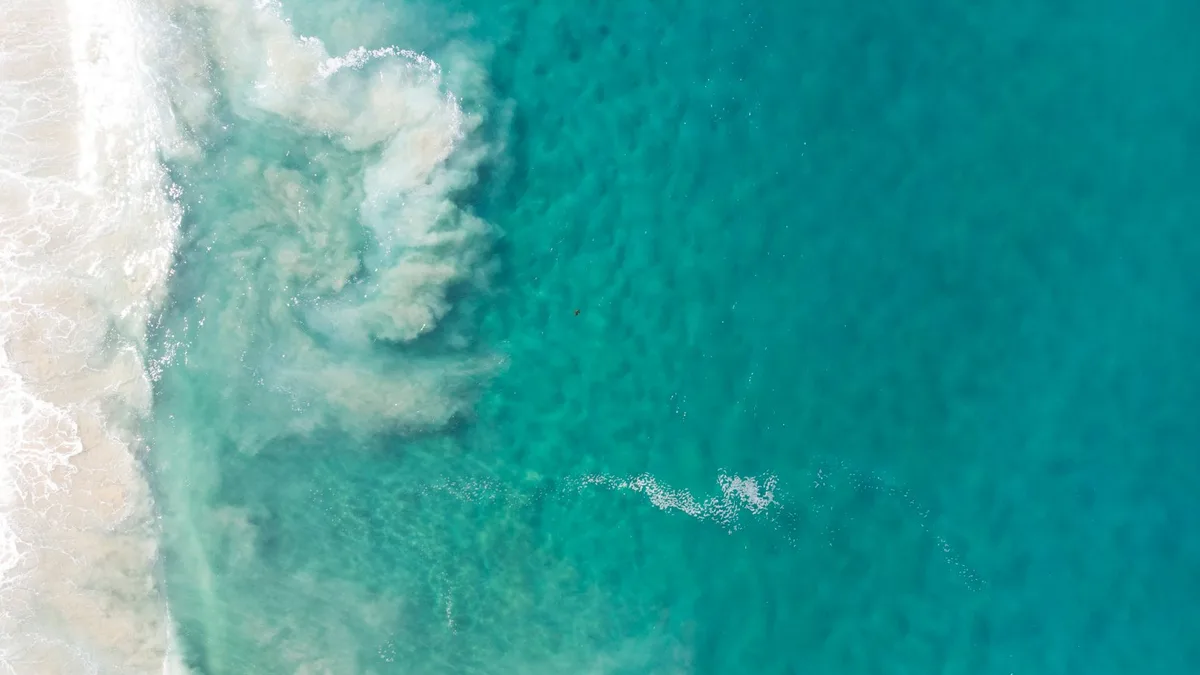 CBN oil explained — shipped across Australia