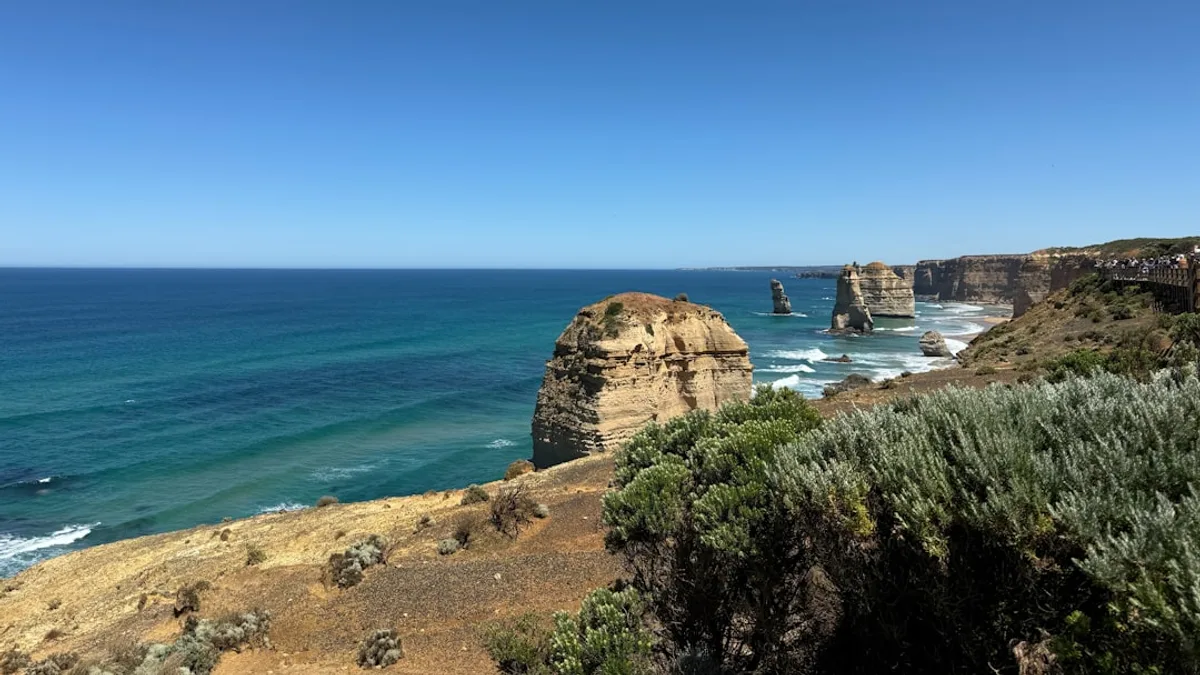 Full-spectrum CBD oil explained — shipped across Australia
